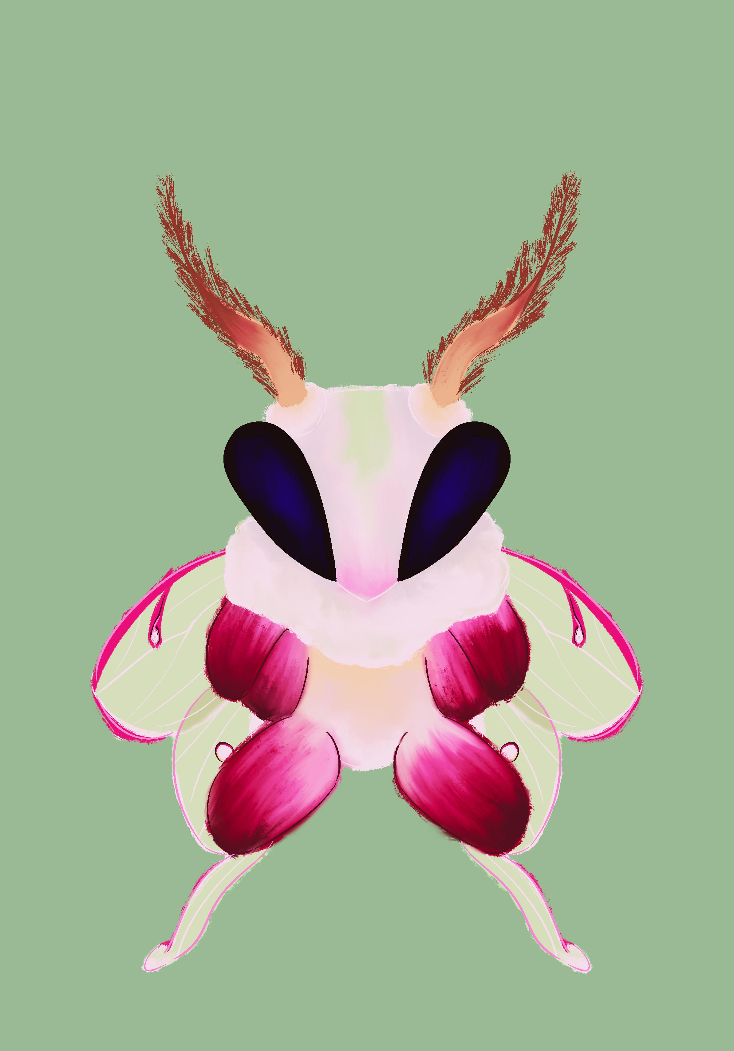 user avatar image for Mars