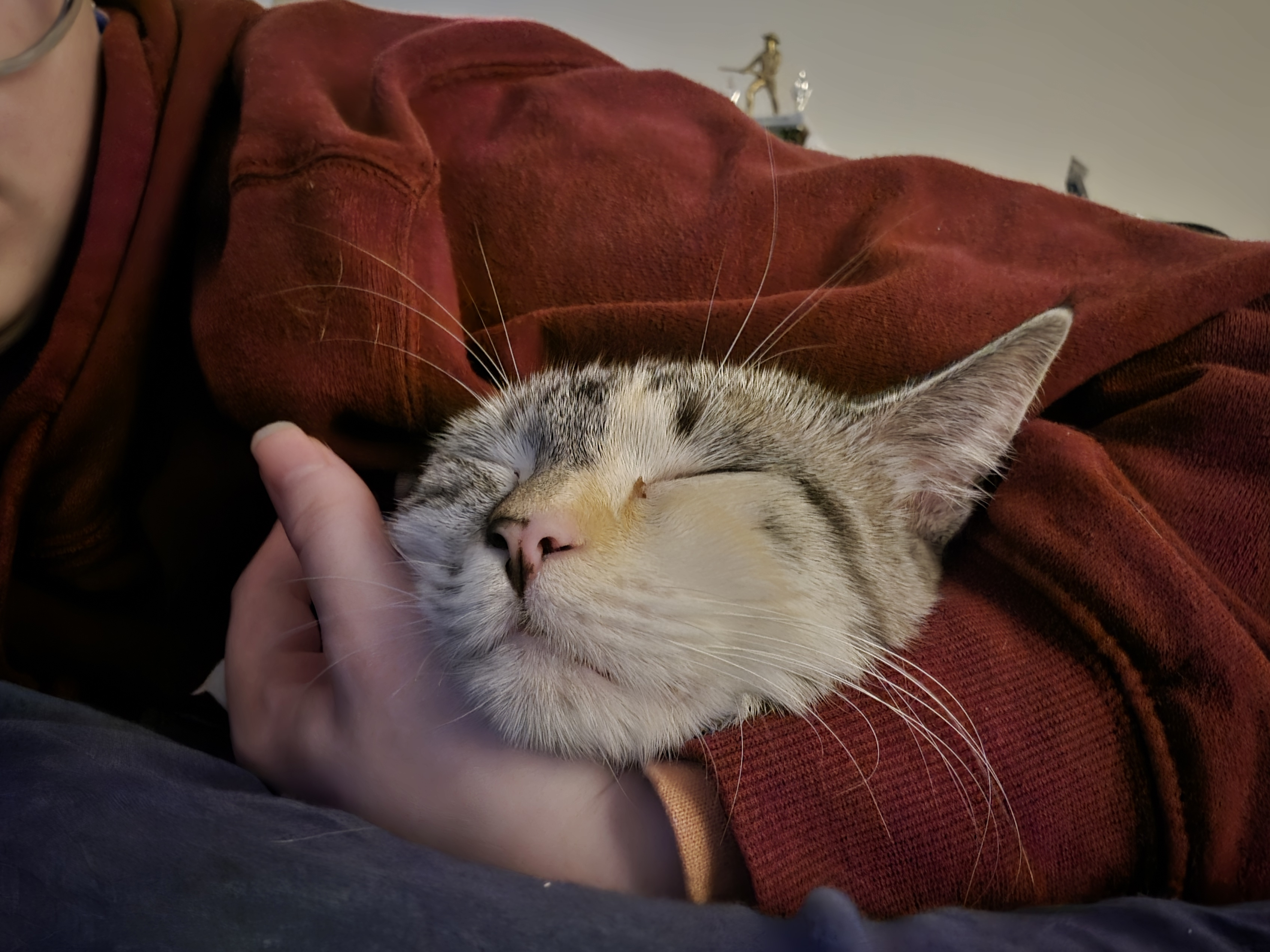 user avatar image for Evan