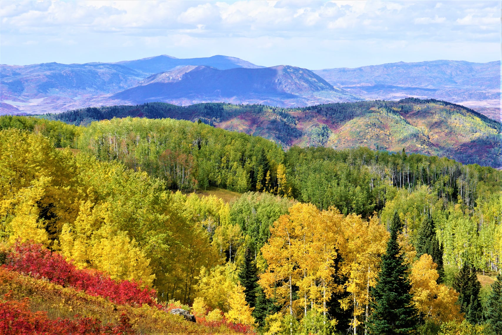 user avatar image for MagicPrime17