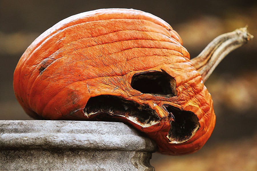 user avatar image for CW