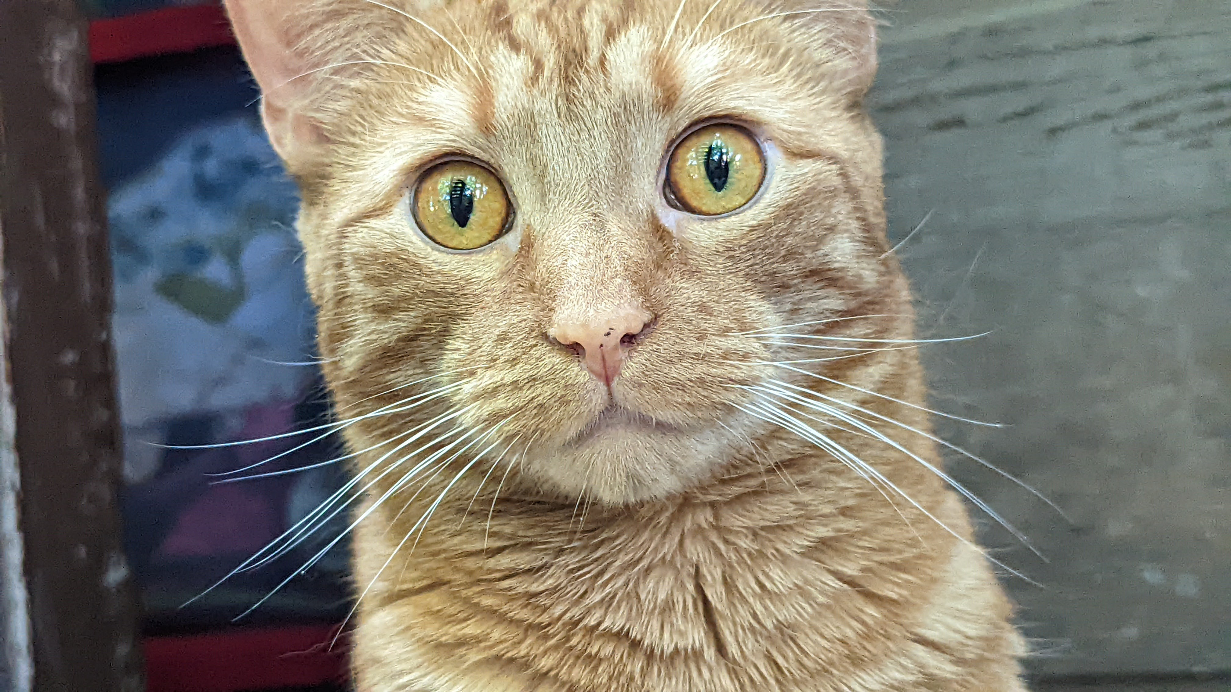 user avatar image for Brian Gaitan