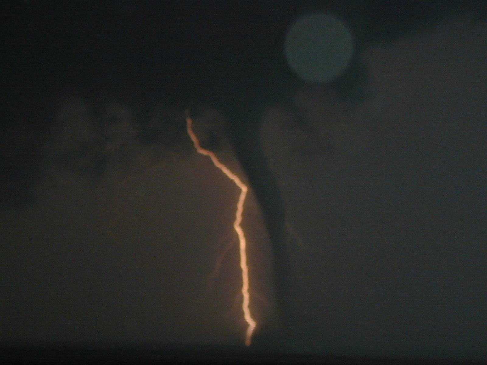 user avatar image for Trust in Yourself