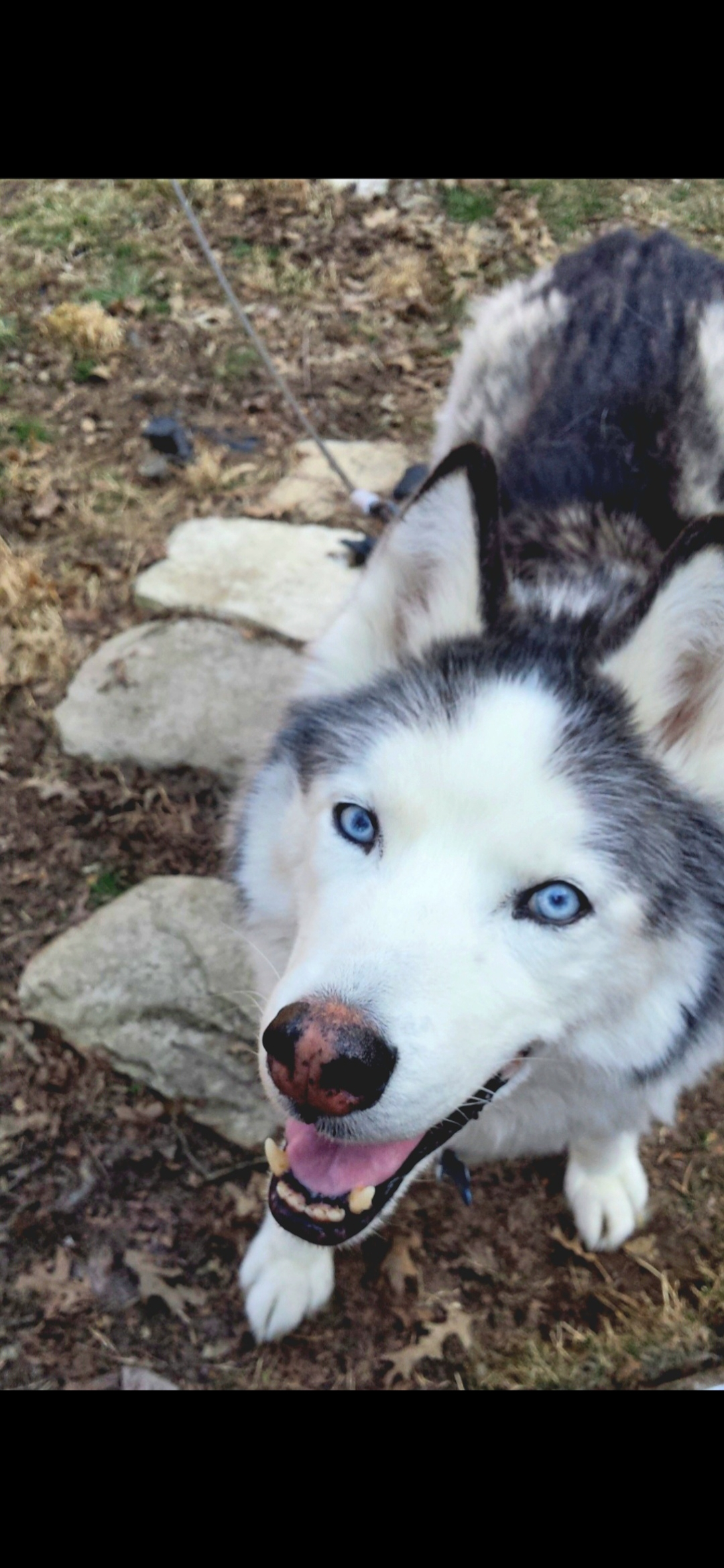 user avatar image for Lisatron83