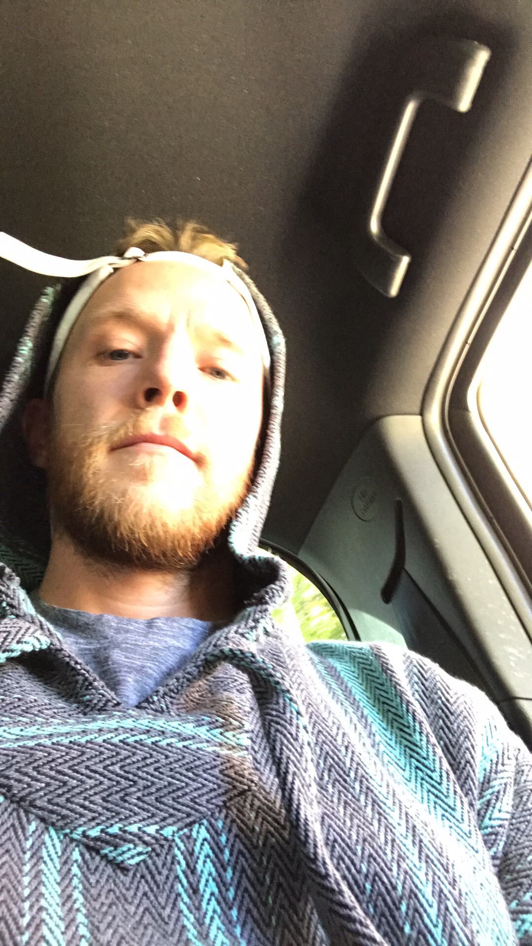 user avatar image for Insipids