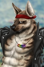user avatar image for BajaHyena 