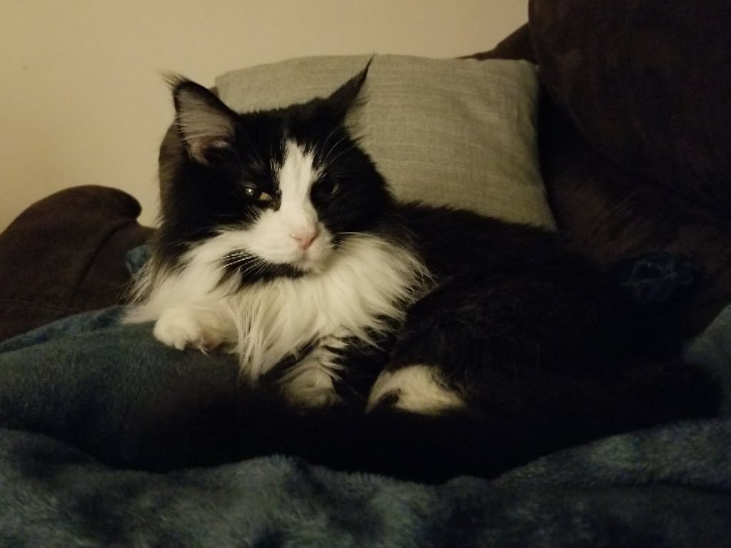 user avatar image for AkumeYasha