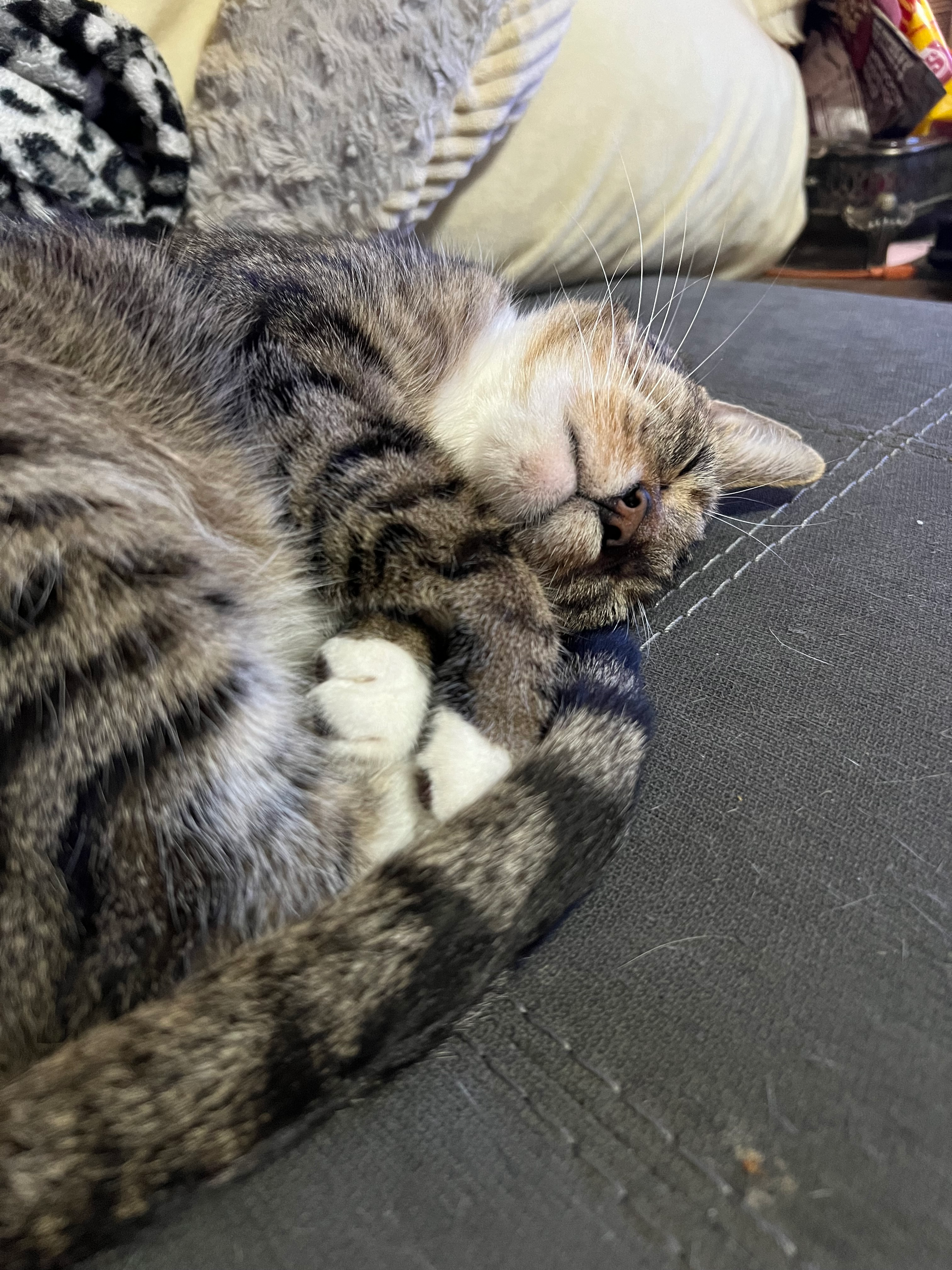 user avatar image for KosmoLin