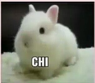 user avatar image for ifritcrisis