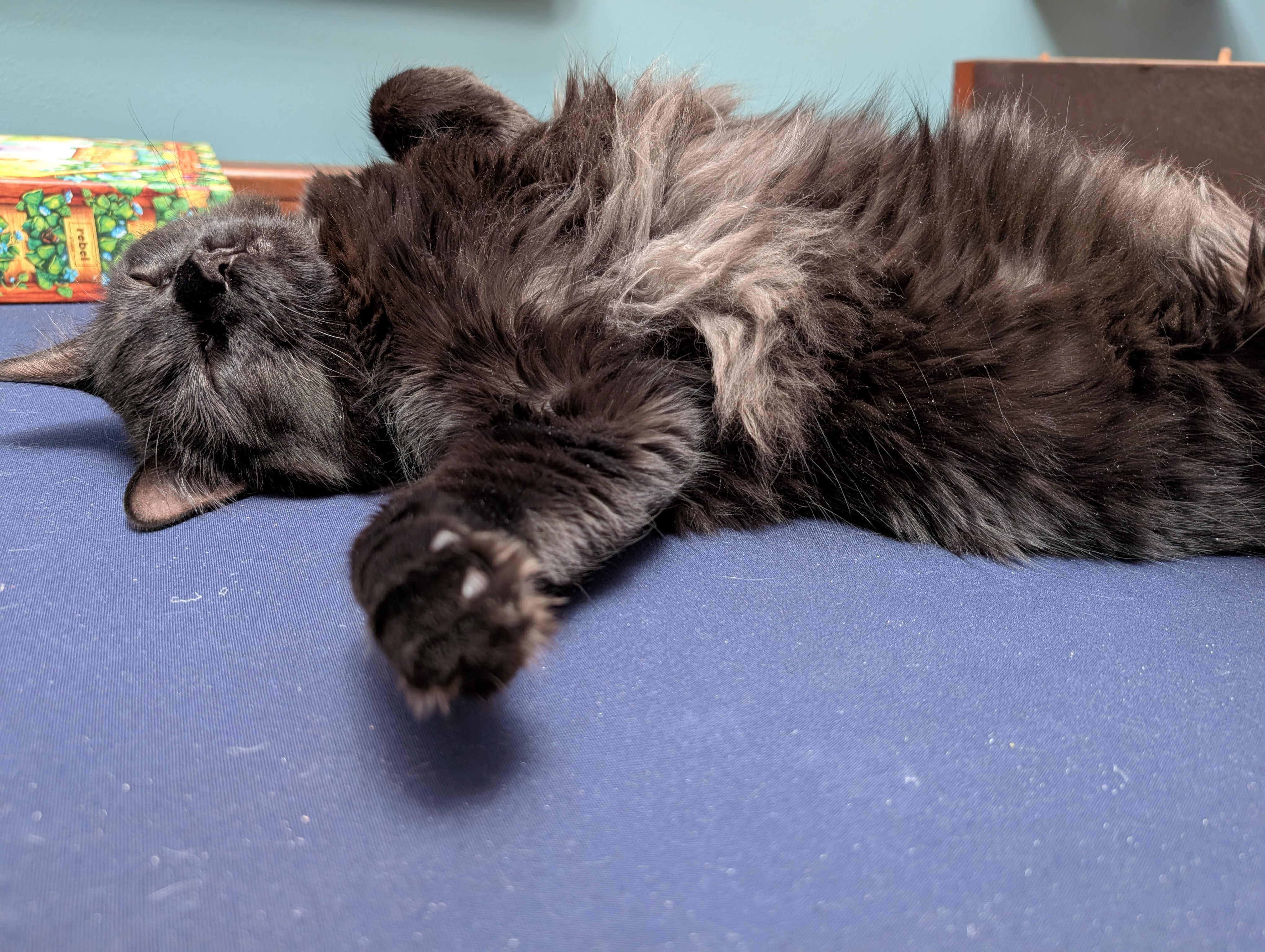 user avatar image for Dacovan