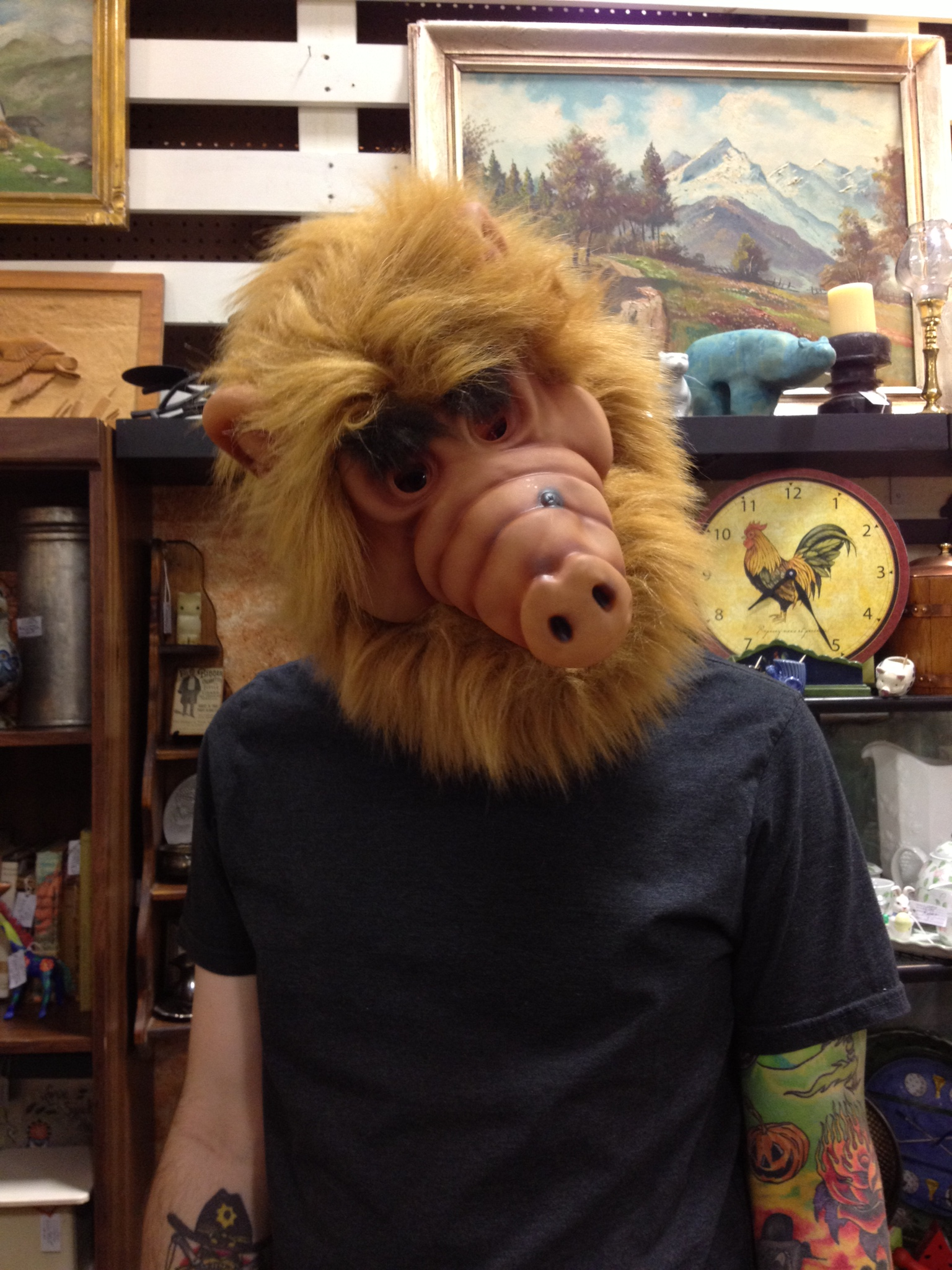 user avatar image for Shawn Bruen