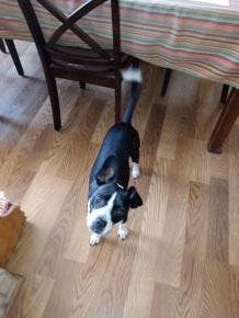 user avatar image for Tammy