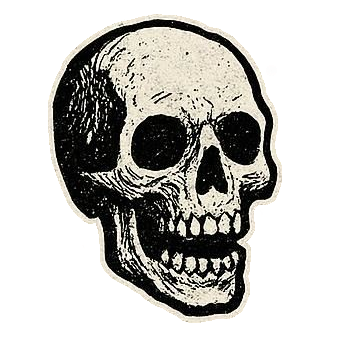 user avatar image for Screamin' Doctor