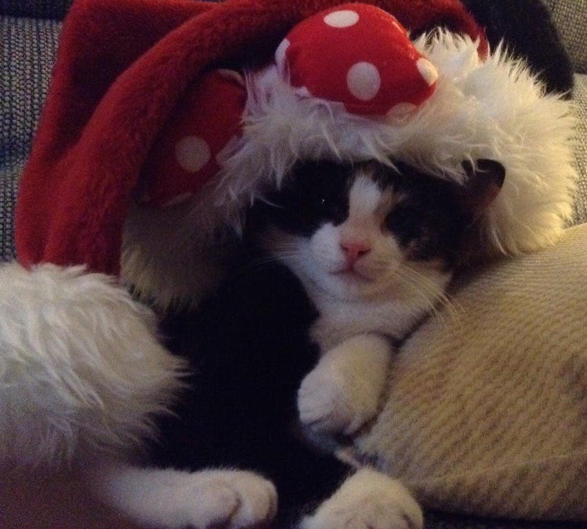 user avatar image for Hannah H 