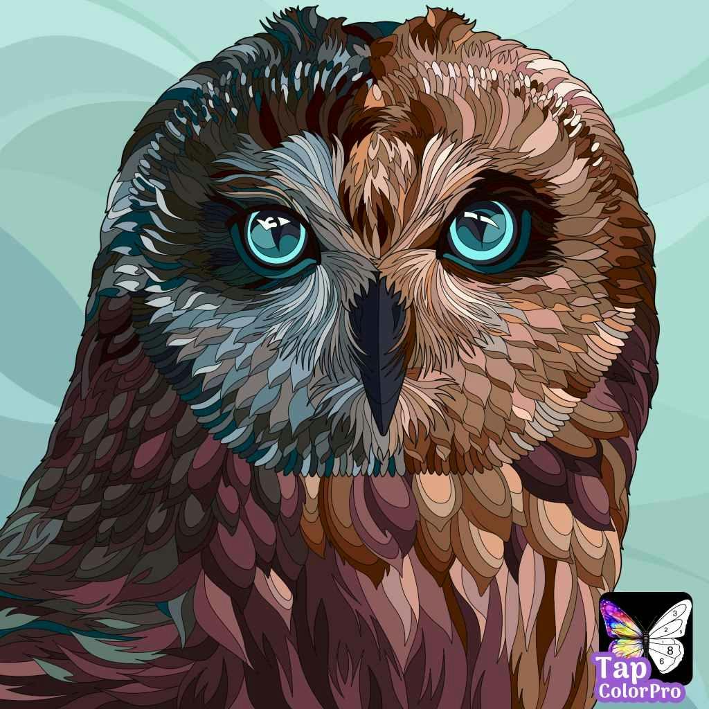 user avatar image for Sue