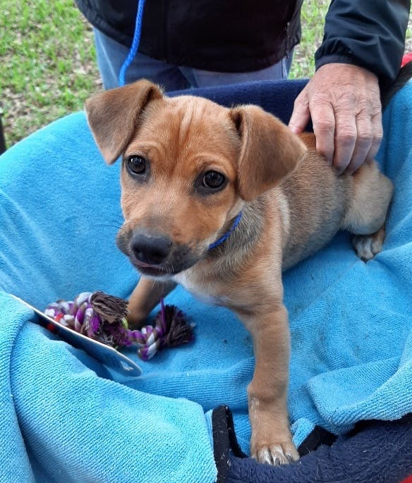 user avatar image for Squidney