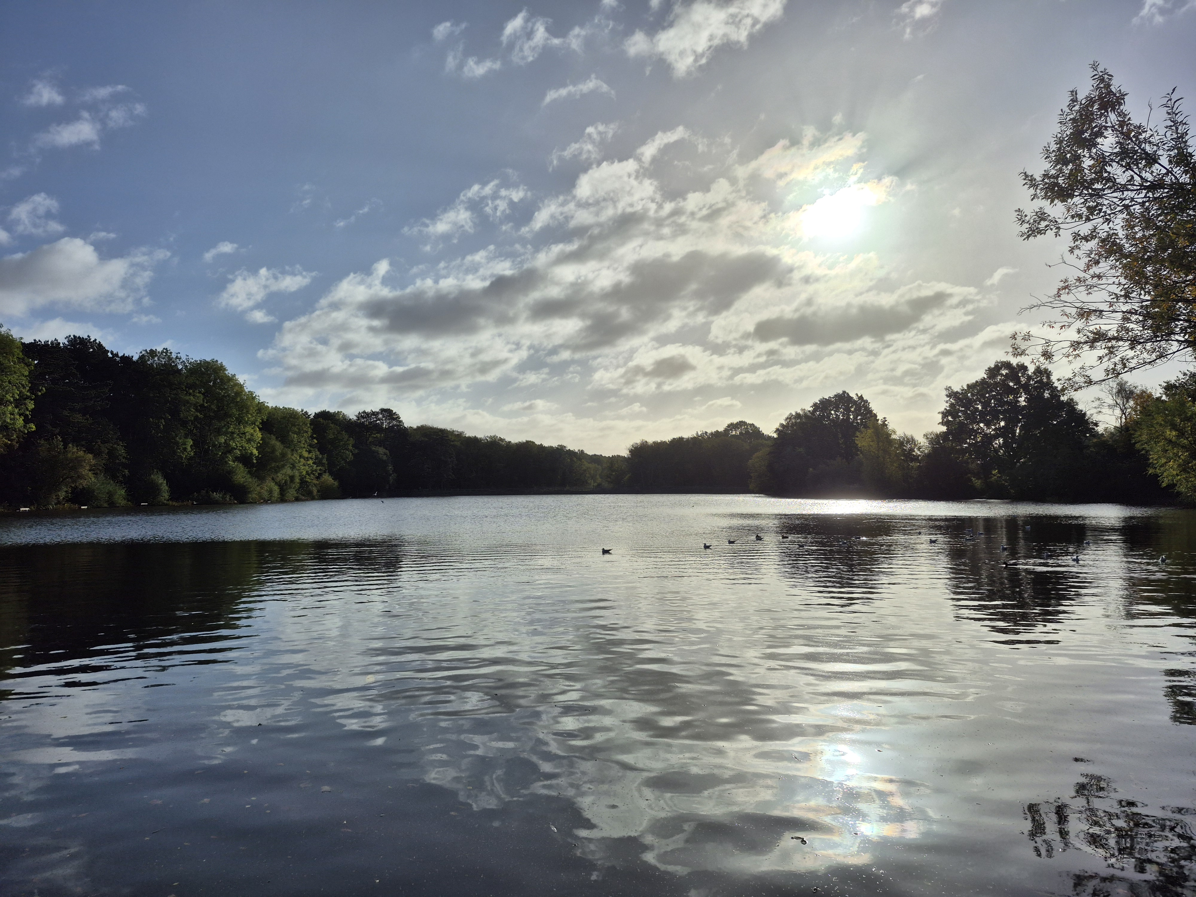 user avatar image for Kieran Kowalski