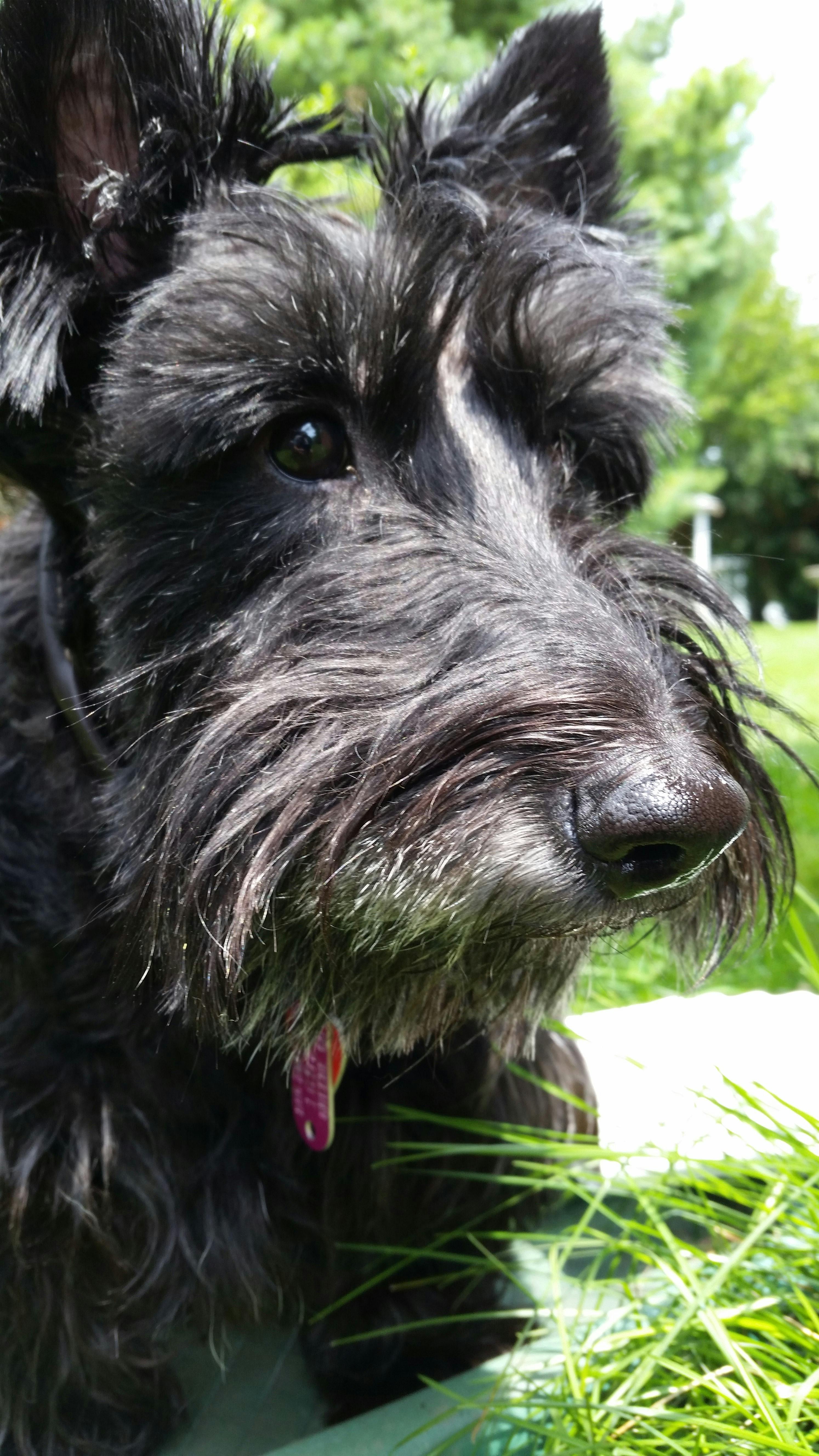 user avatar image for Catharine Markwood