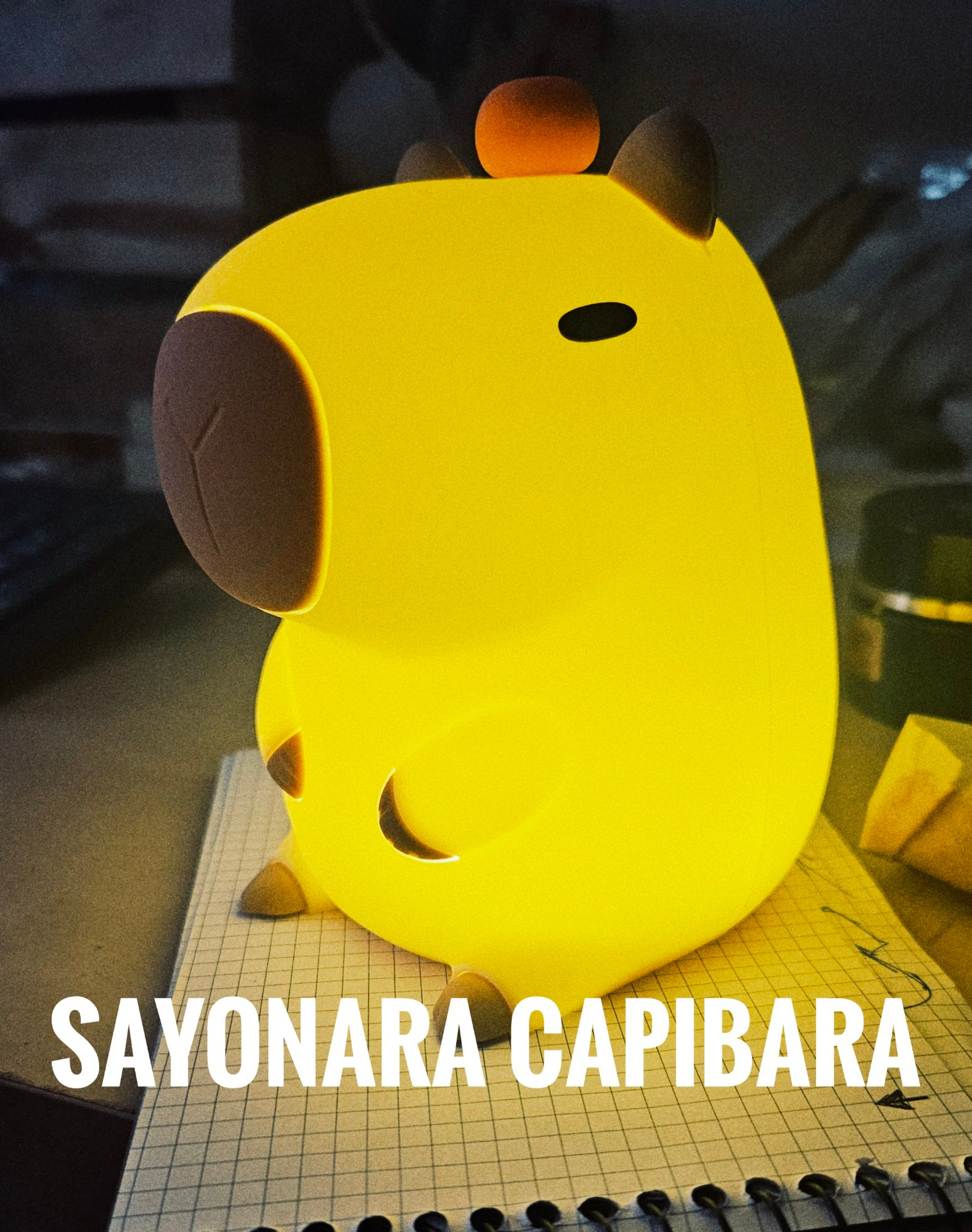 user avatar image for Jakobe