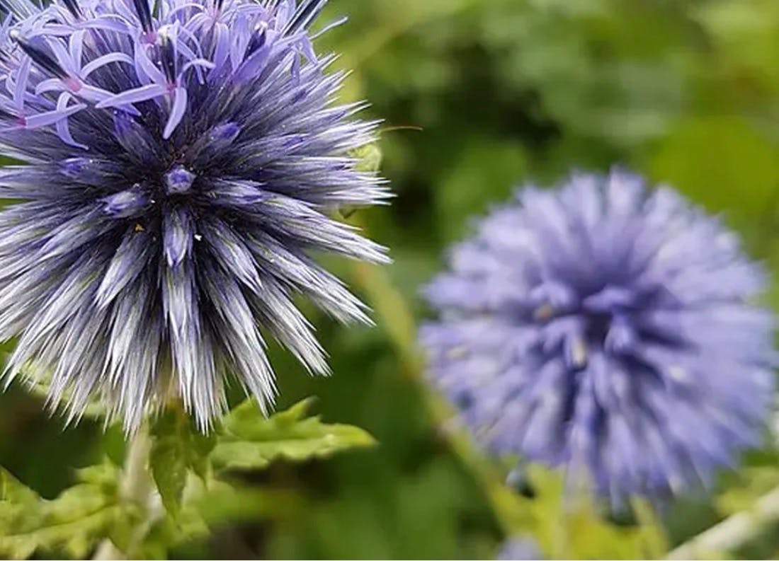 user avatar image for Barrott