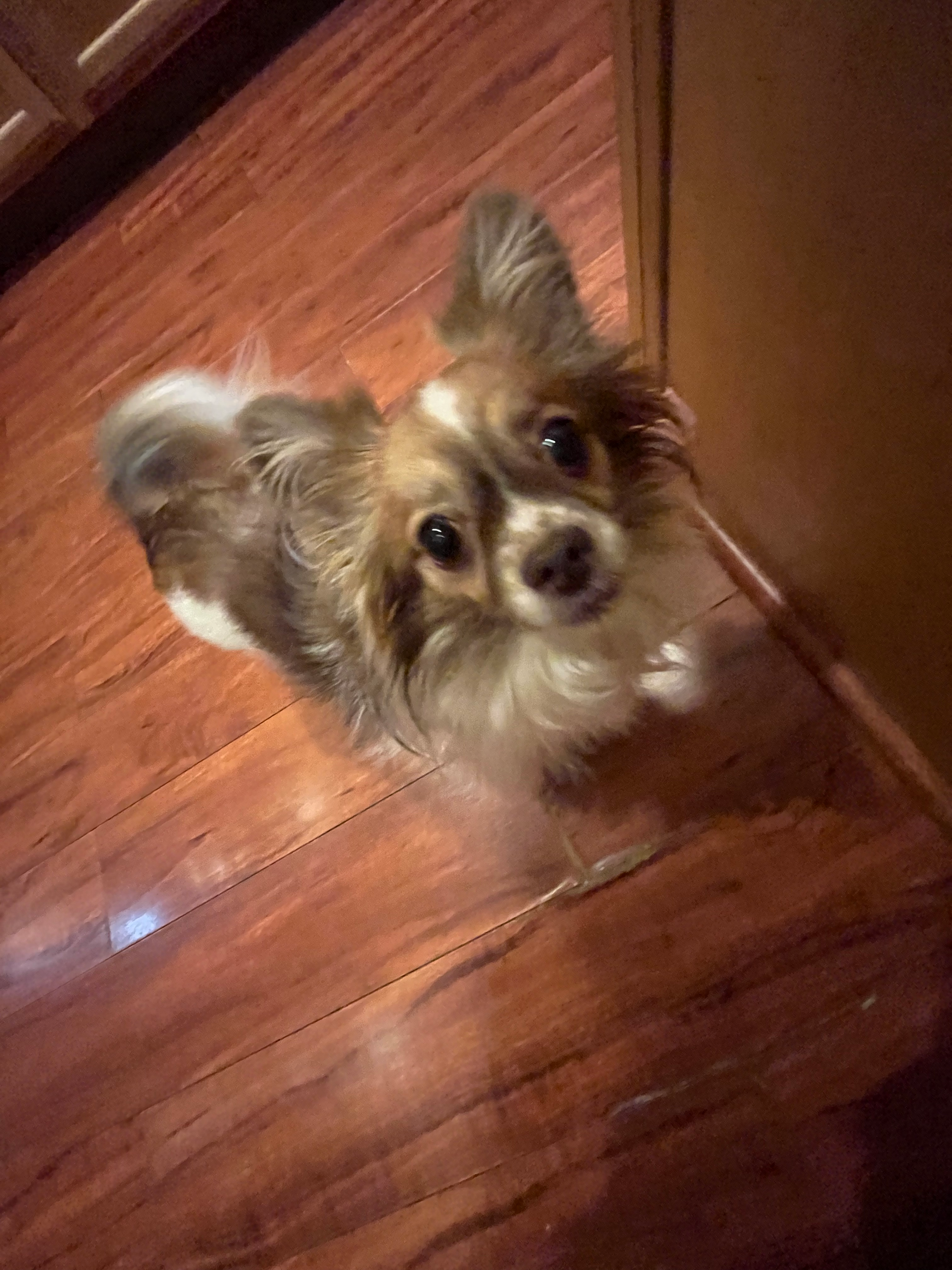 user avatar image for Larry Aspatore