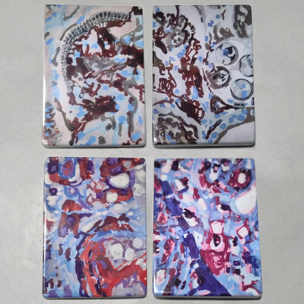 Set of 4 Kidney Slice Magnets