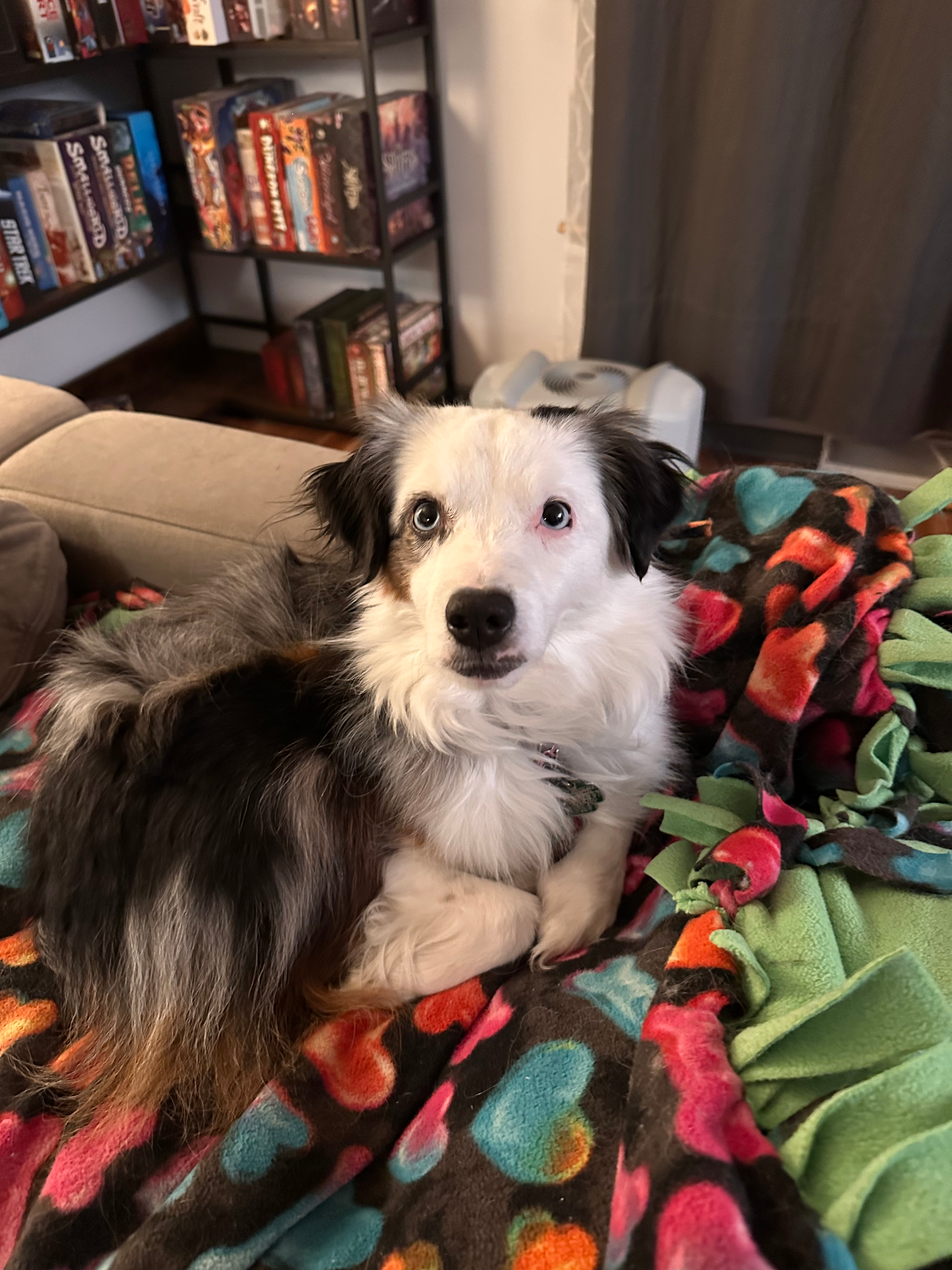 user avatar image for campbelltron