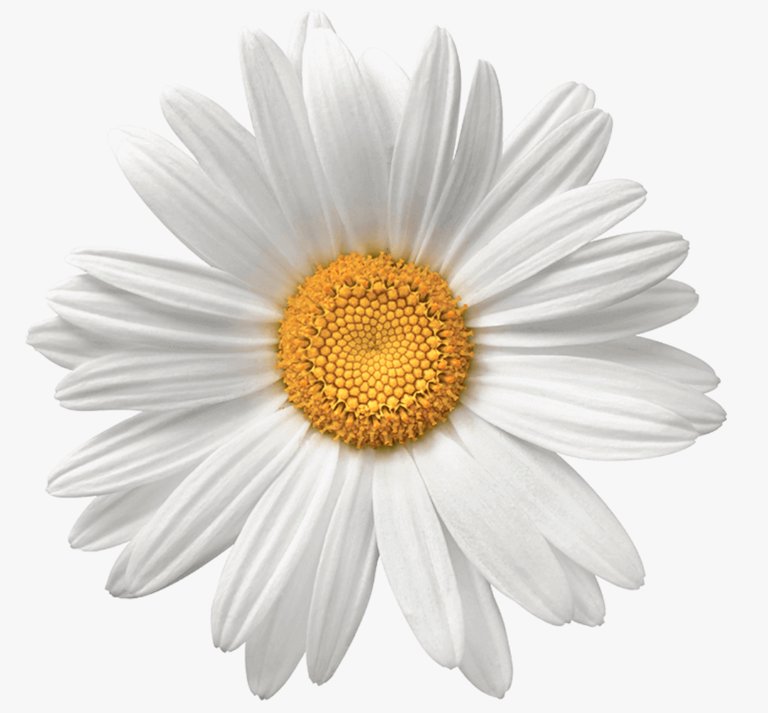 user avatar image for Stephen Feren