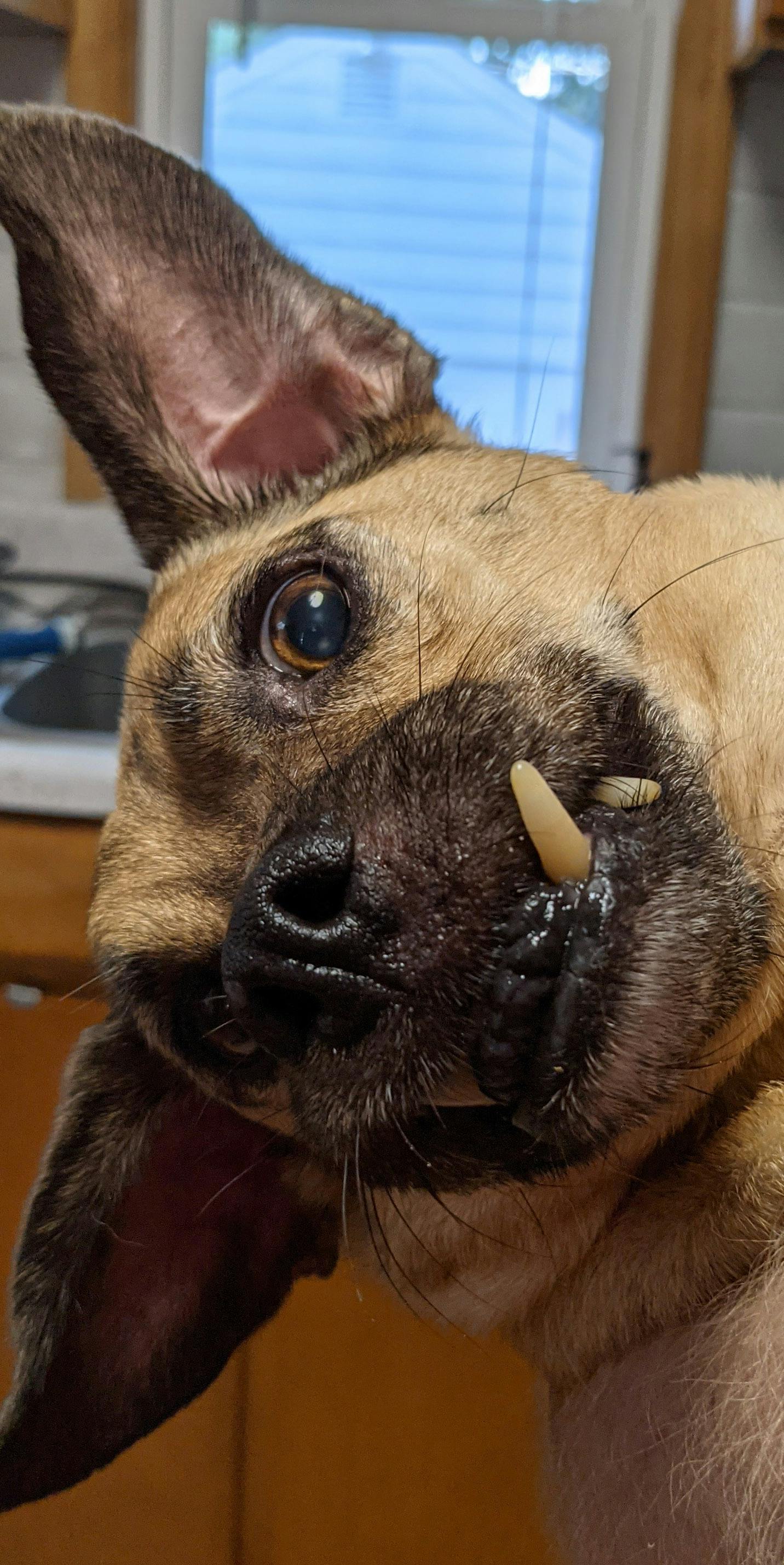 user avatar image for MelaasD