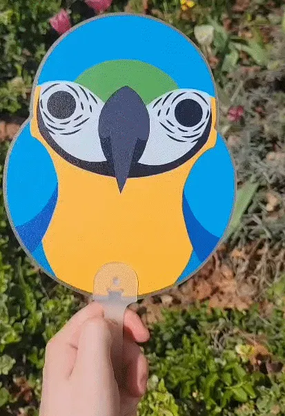 Mystery PVC Fan