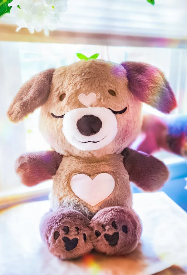 Chai the Soothing Pup Plush