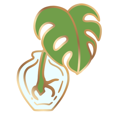 Monstera