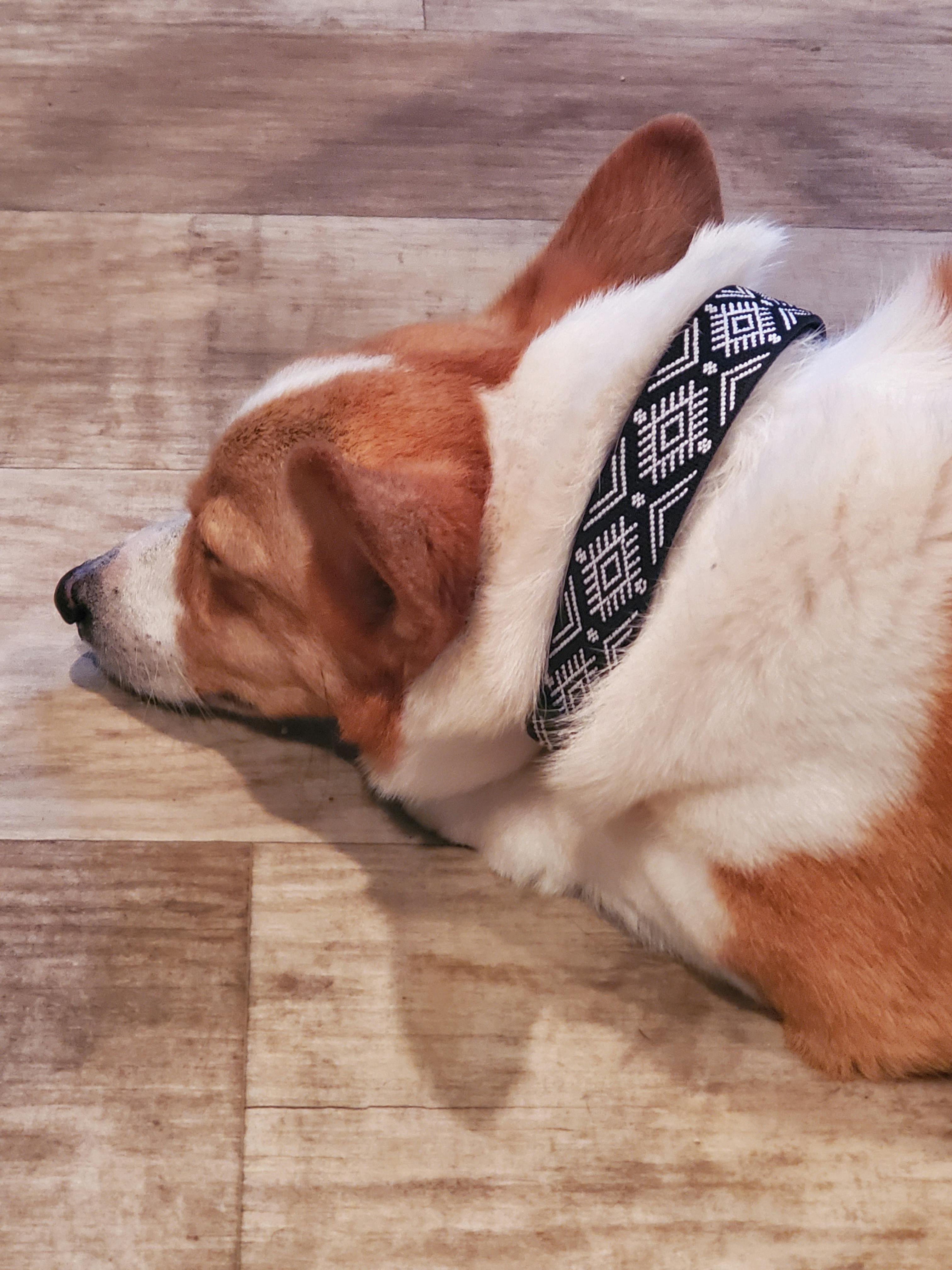 user avatar image for MannyManticore