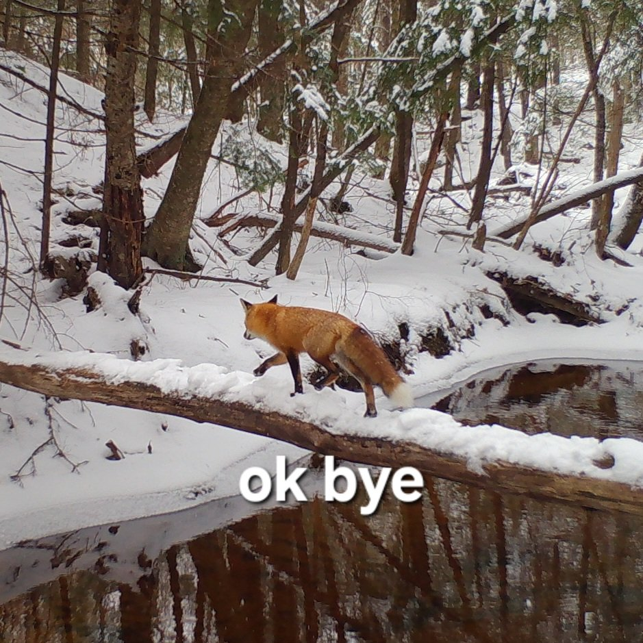 user avatar image for Lauren