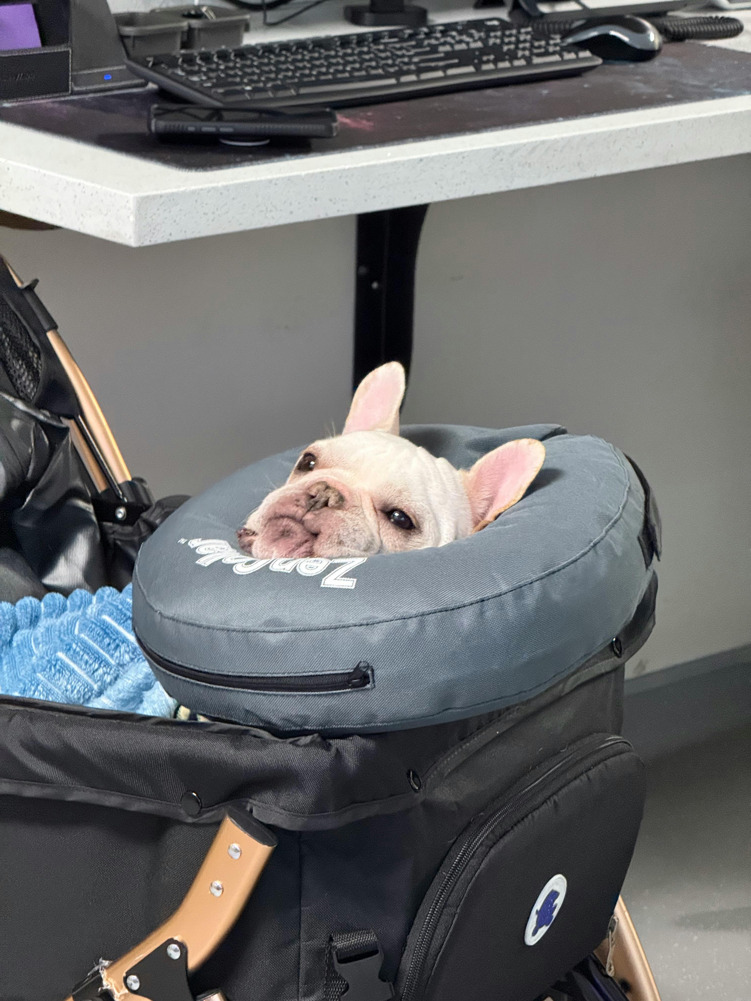 user avatar image for Nancy Petru