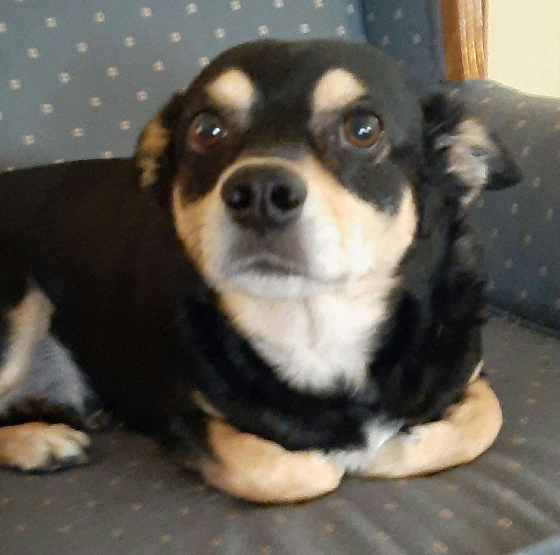 user avatar image for Cathy