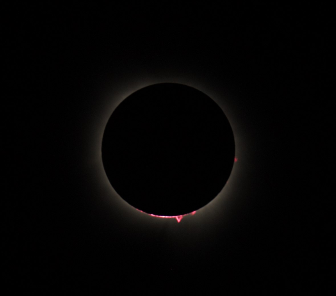 user avatar image for Kaitlynn