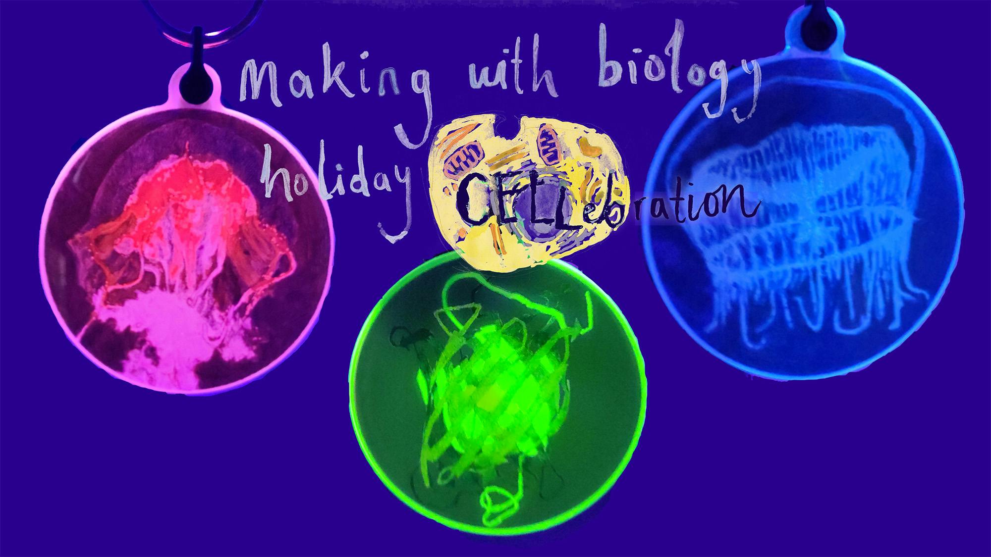 Making With Biology Holiday CELLebration