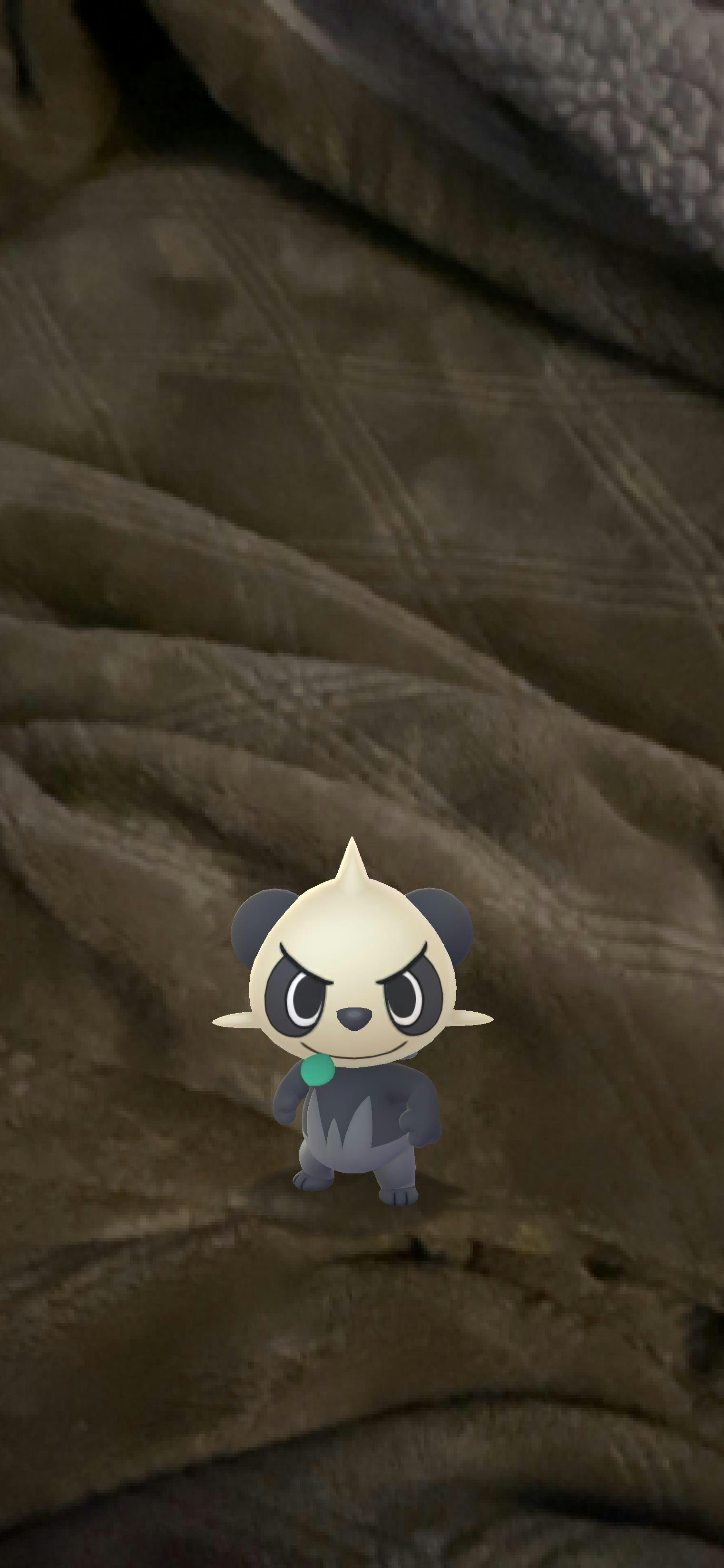 user avatar image for Jessie