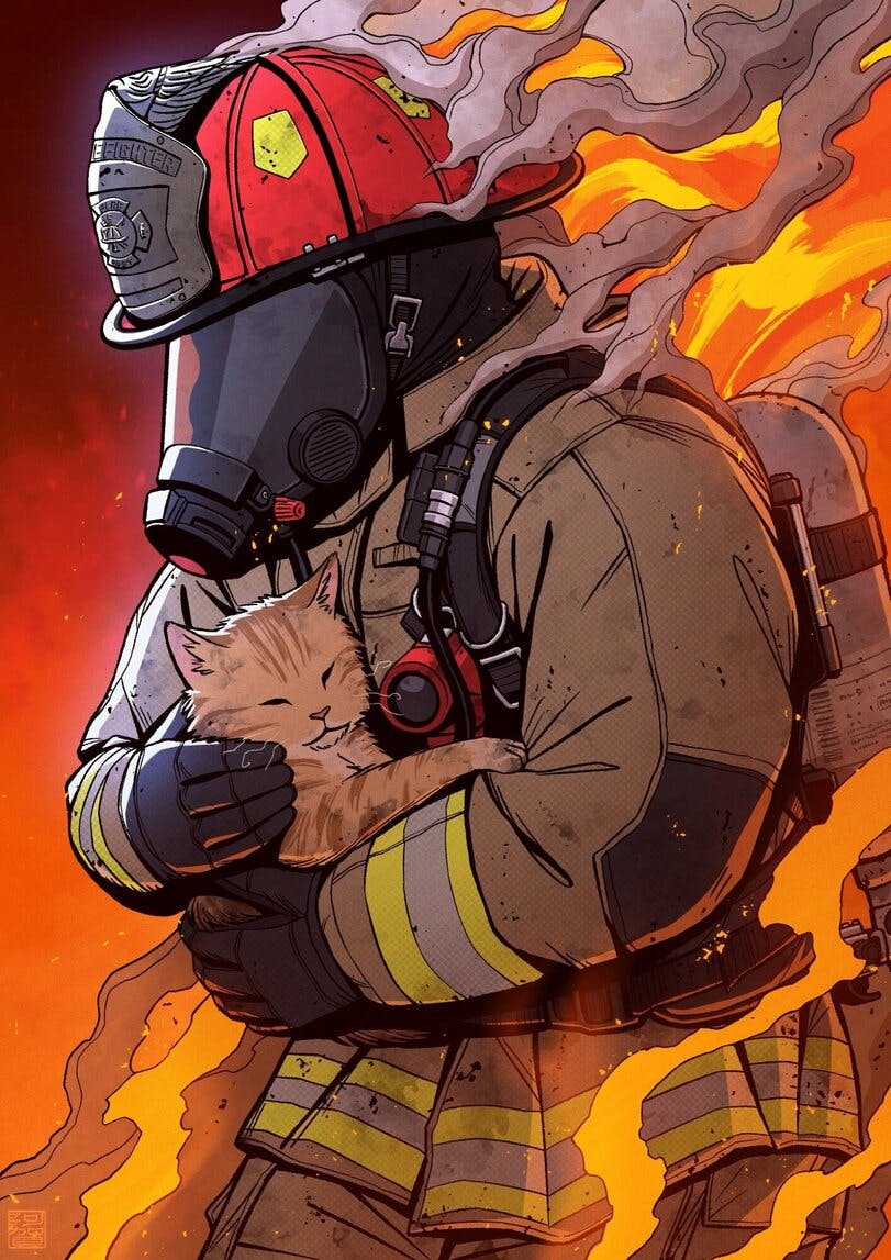 user avatar image for Matthew Musselman