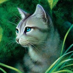 user avatar image for Sasha