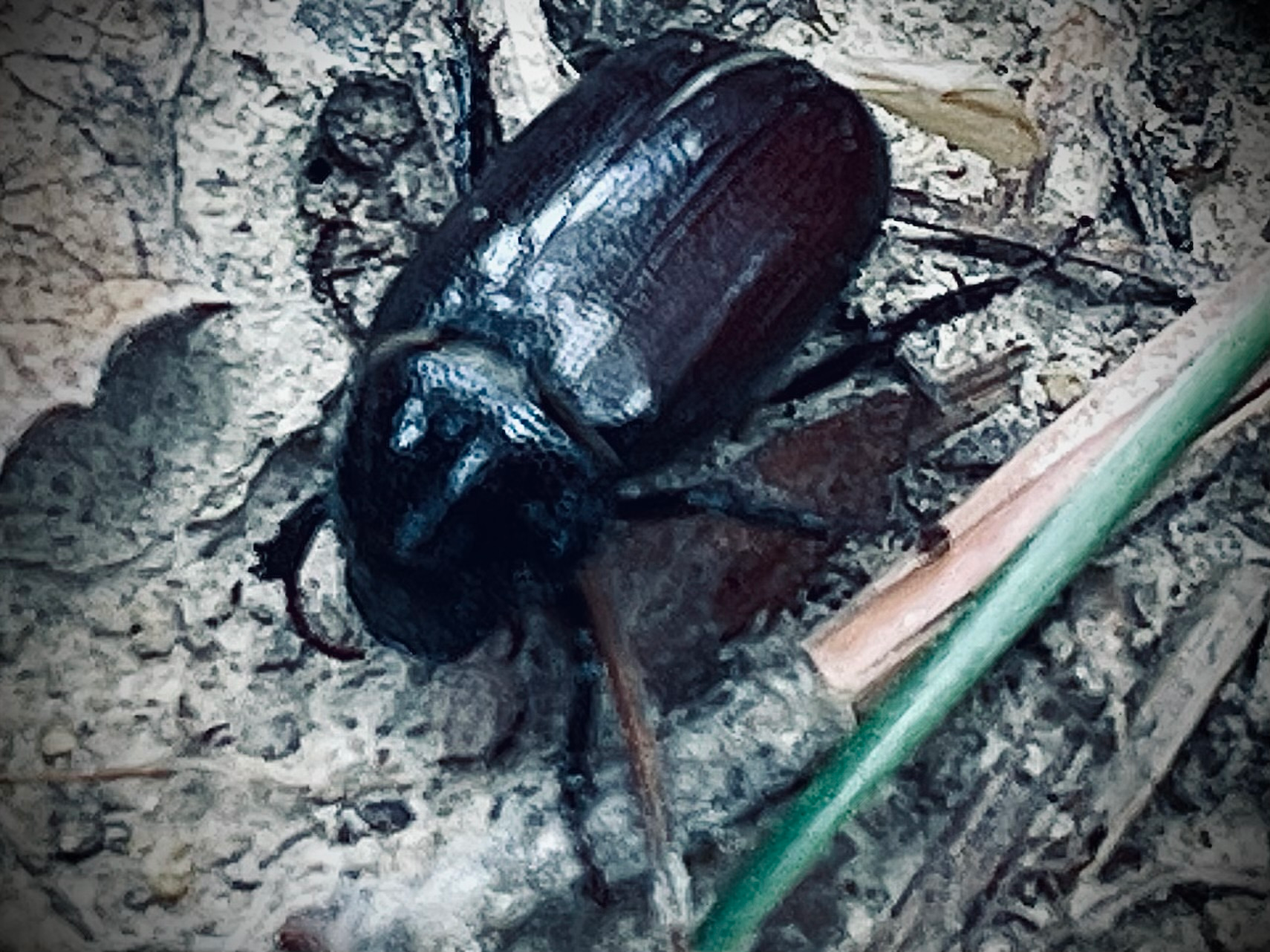 user avatar image for Jonathan Gravitt