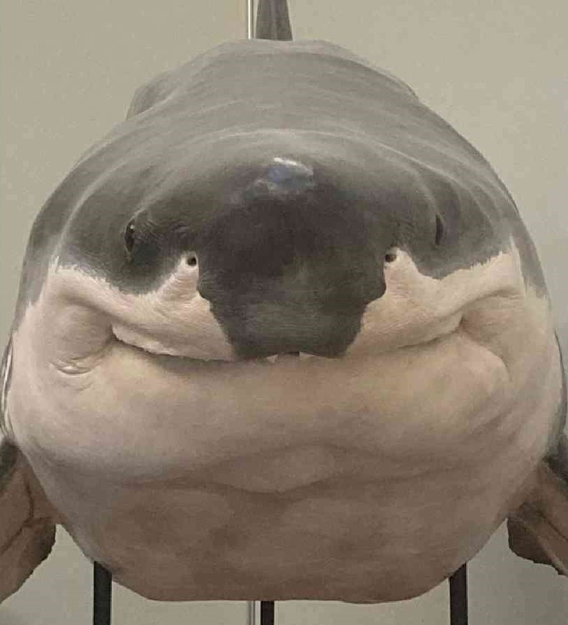 user avatar image for Draelon
