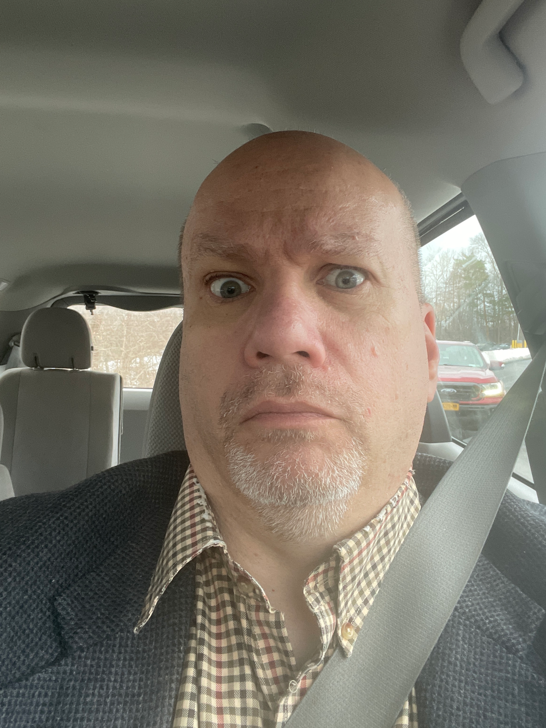 user avatar image for Robert Snyder