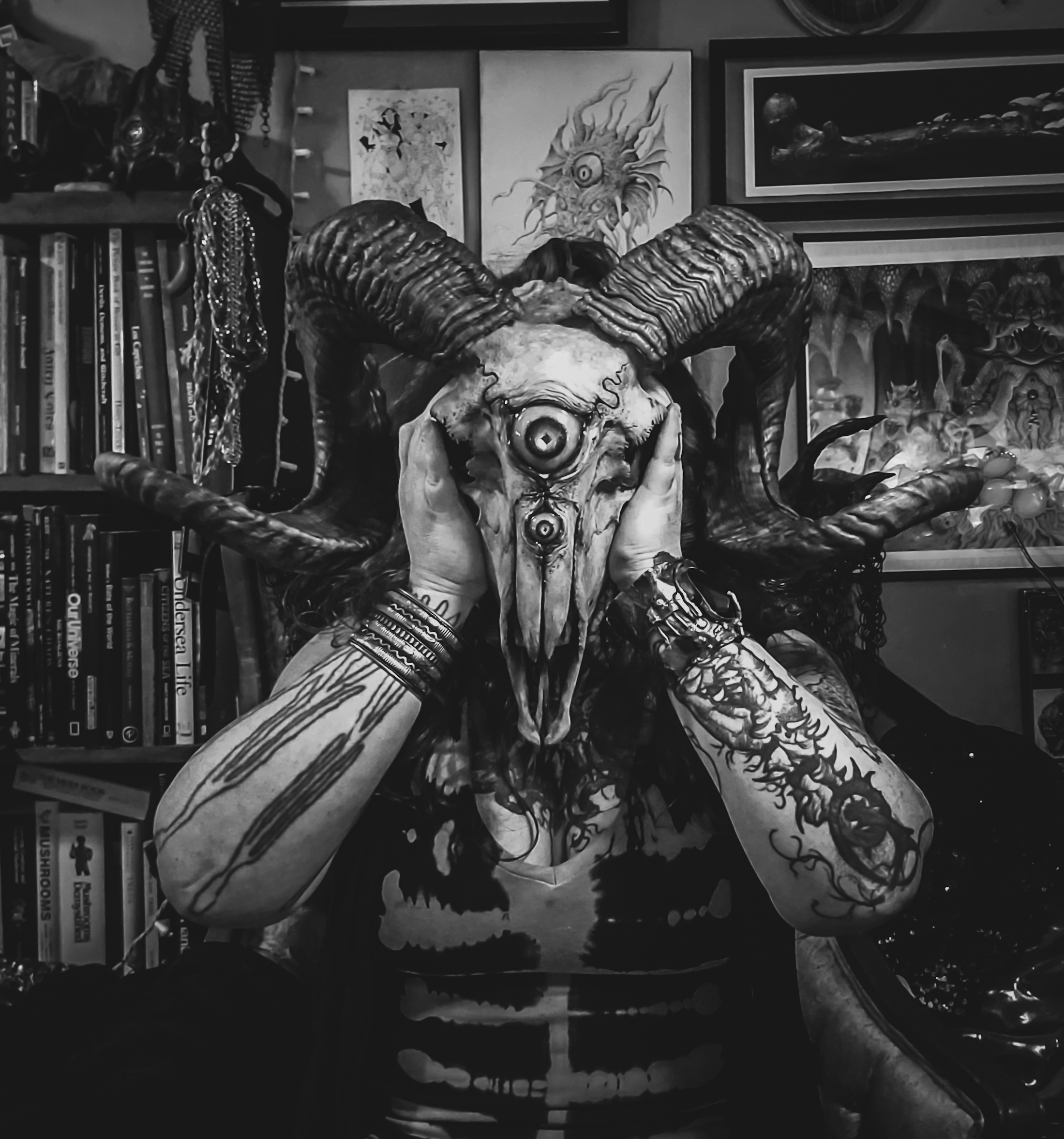 user avatar image for Dogzillalives