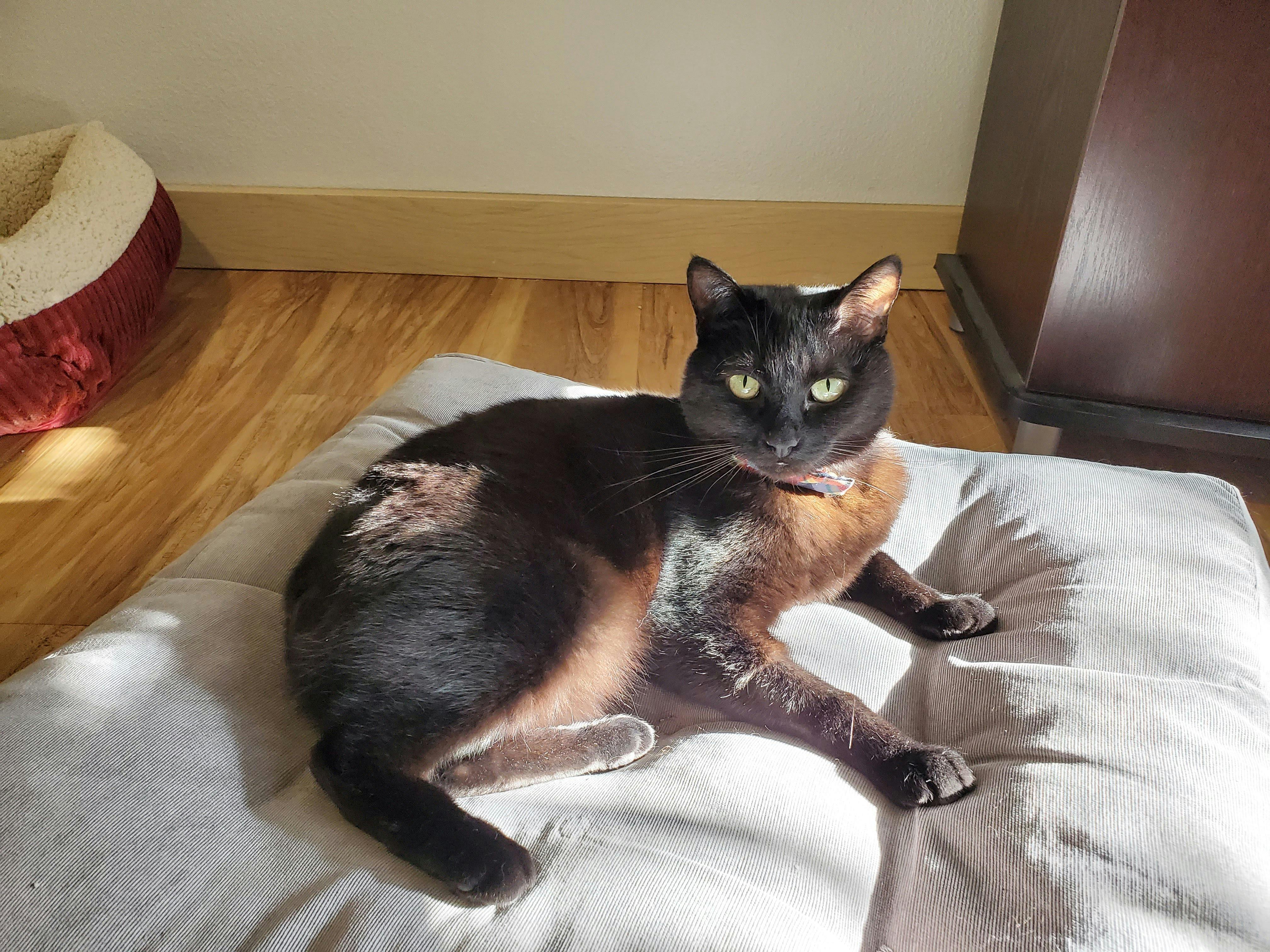 user avatar image for Christina