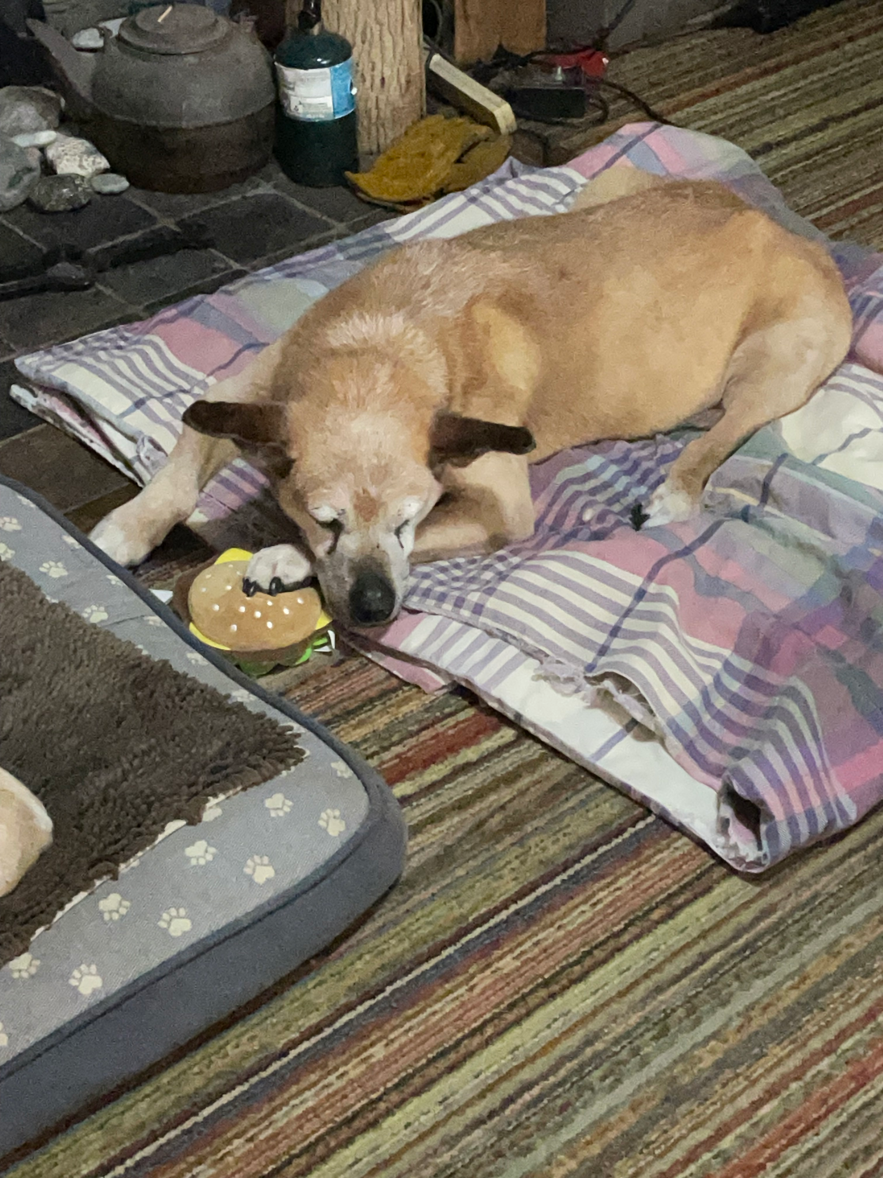 user avatar image for Taylor