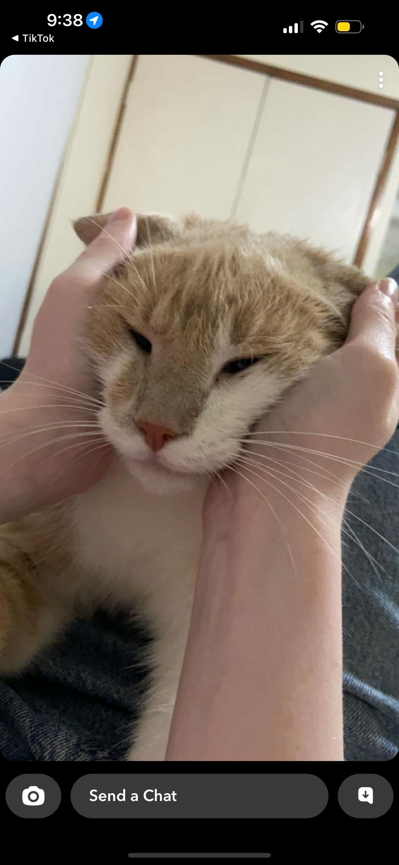 user avatar image for Faeryn