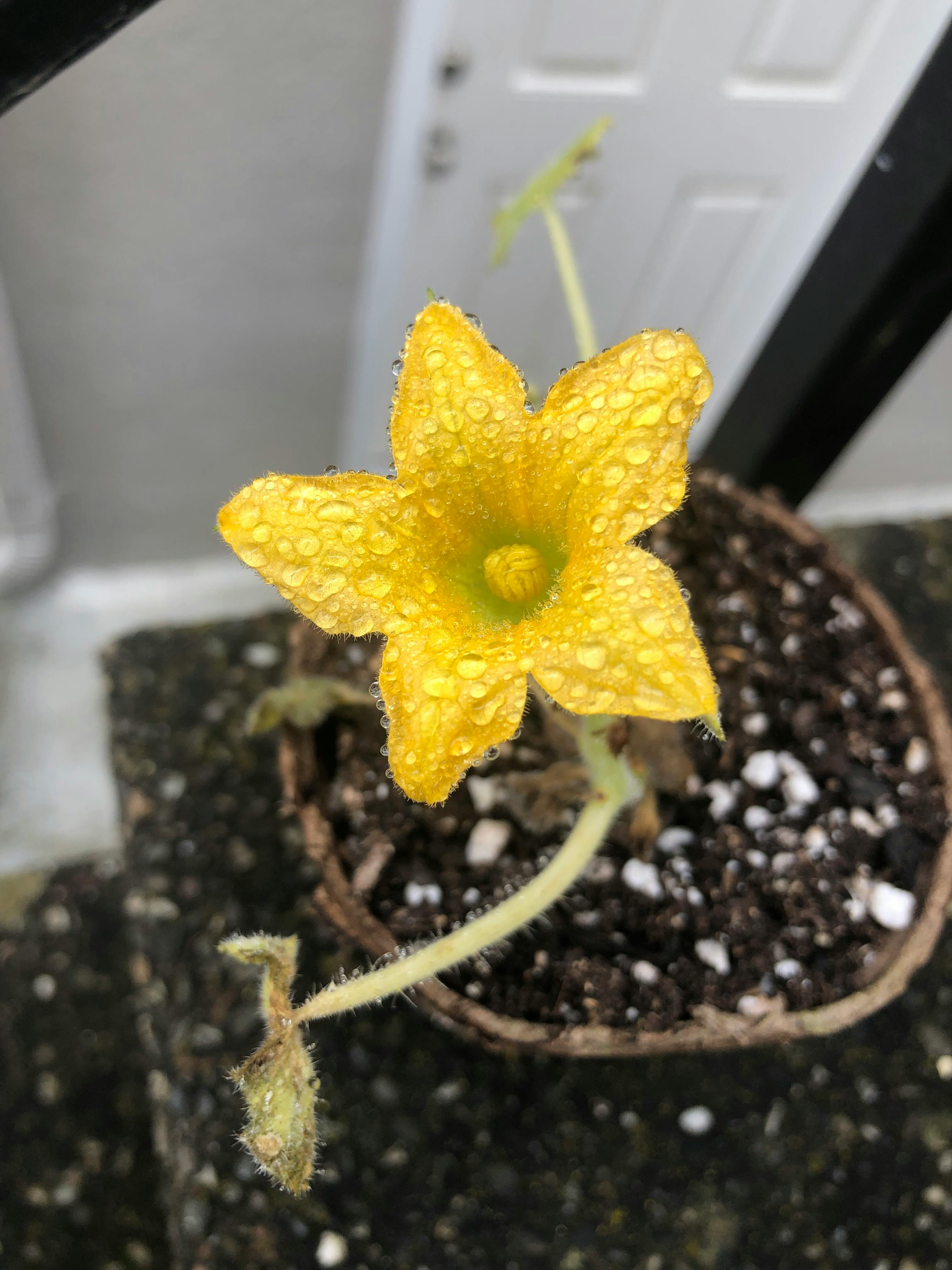 user avatar image for Rachel Cunningham