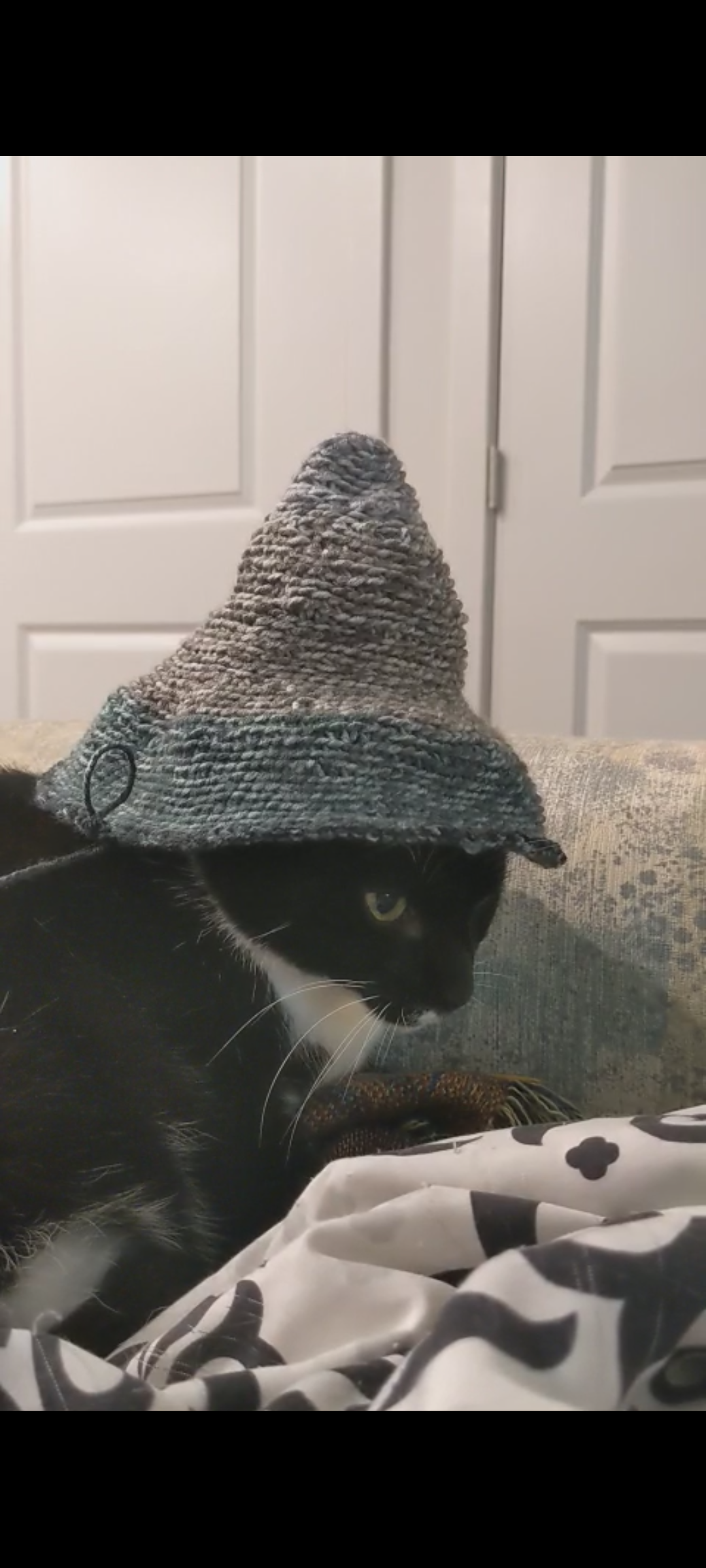 user avatar image for MightyCthulhu