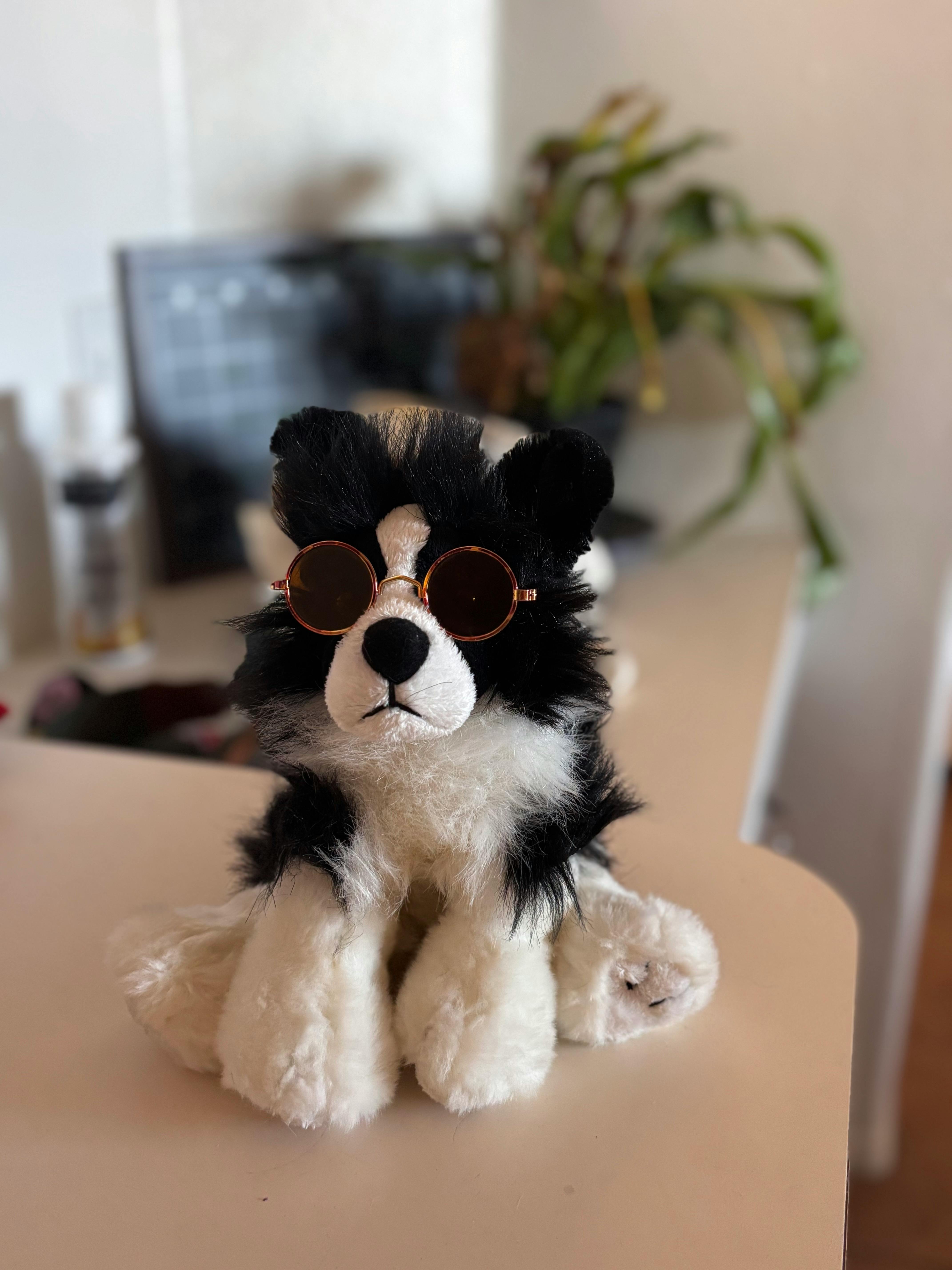 user avatar image for PoppysCozyCollective